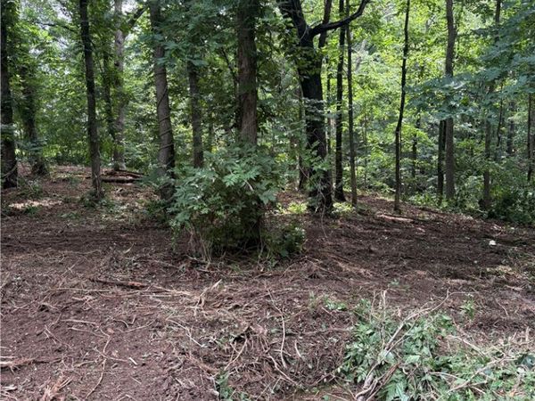 LOT 2 Holme Lane , Bella Vista, AR 72714