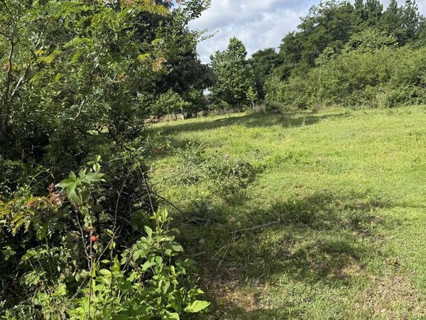 1183 goff Roads, Quitman, AR 72131