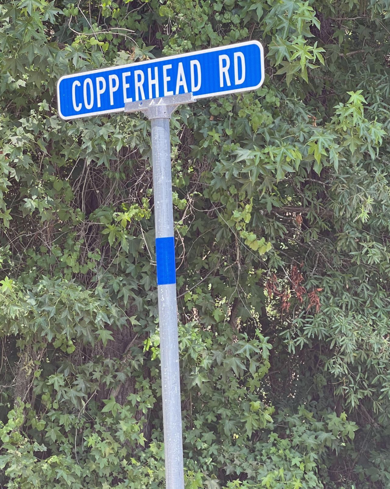 1083 Copperhead Road Photo 57
