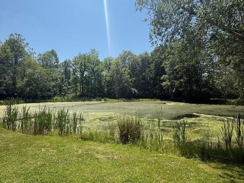 3911 Campbell Road, Perry Twp, OH 45118 Photo 7