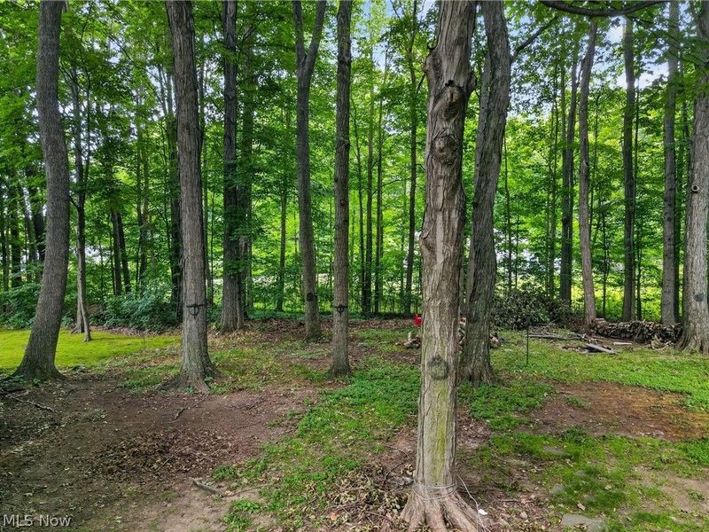 628 Park Oval, Madison, OH 44057 Photo 32