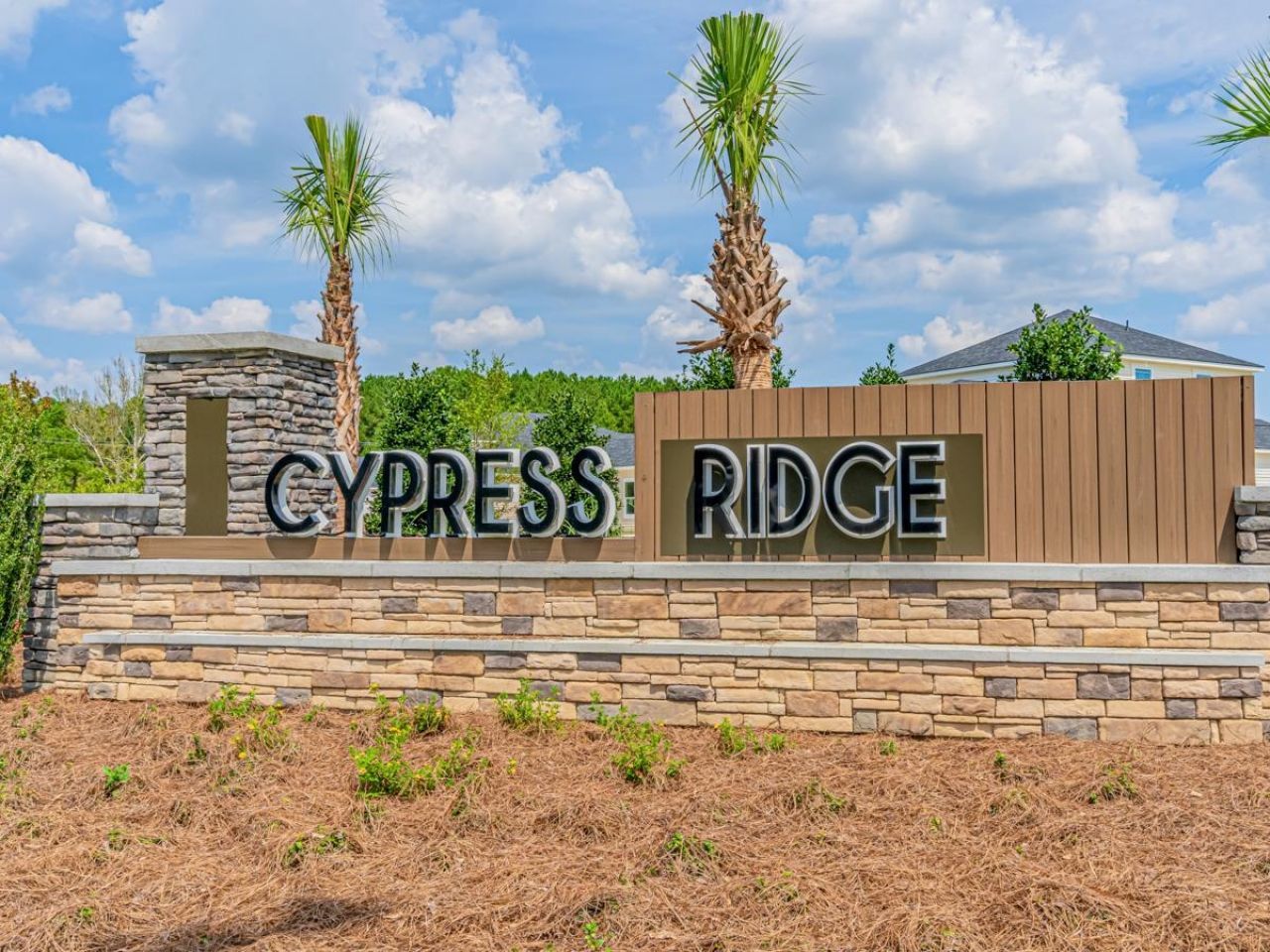 690 Cypress Preserve Circle Photo 43