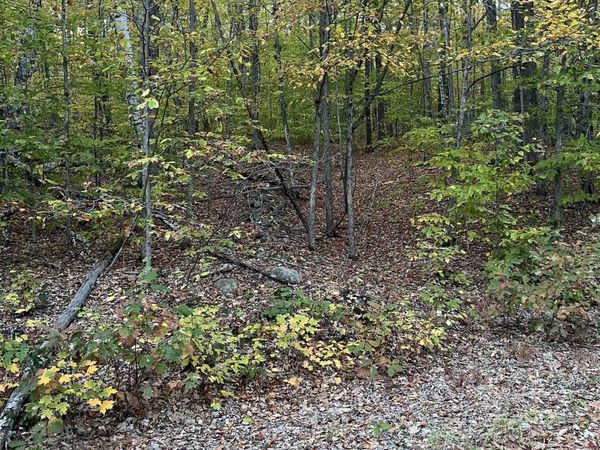 10-4-1 David Thompson Drive, Campton, NH 03223