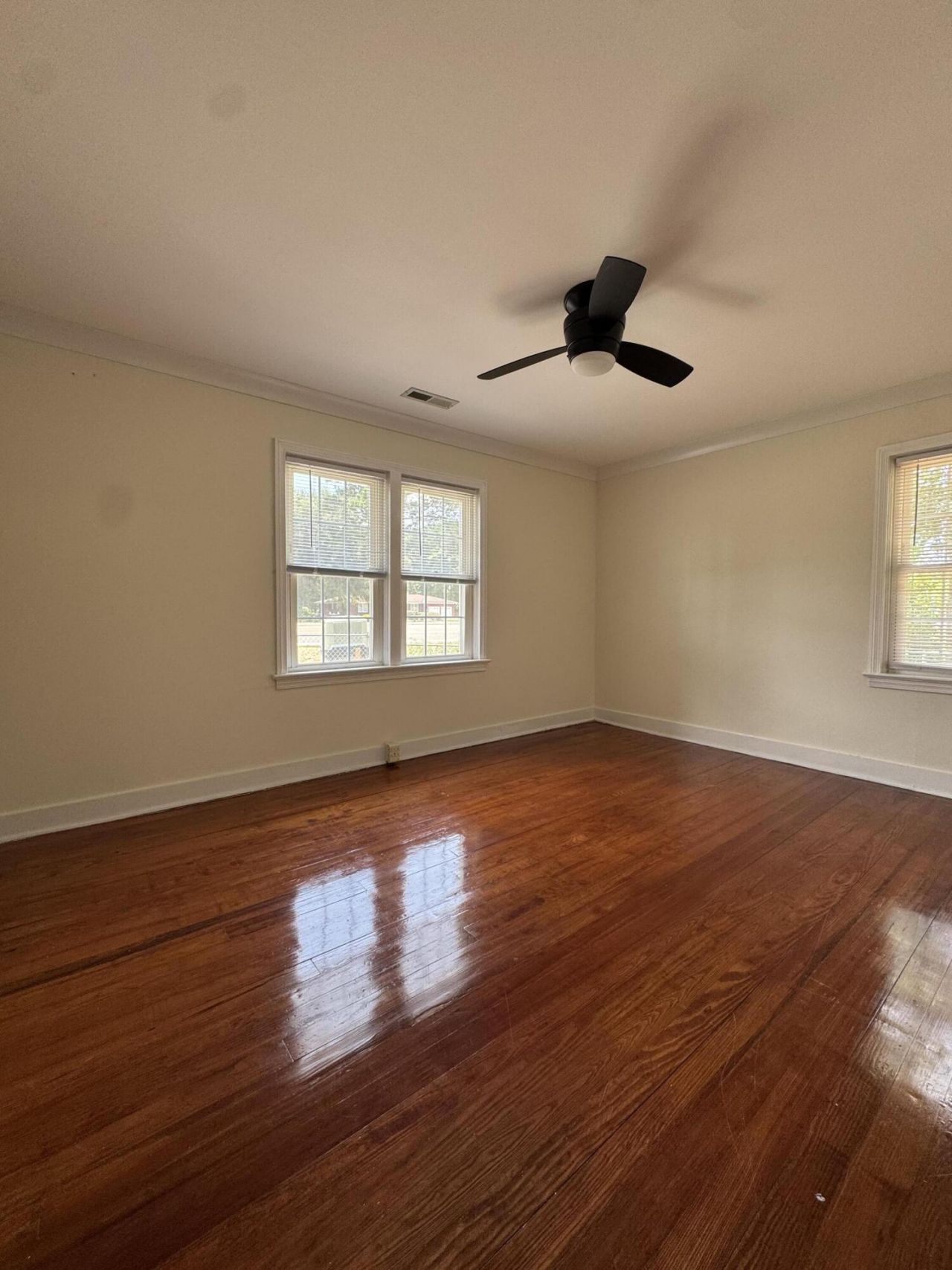 933 S Live Oak Drive Photo 12