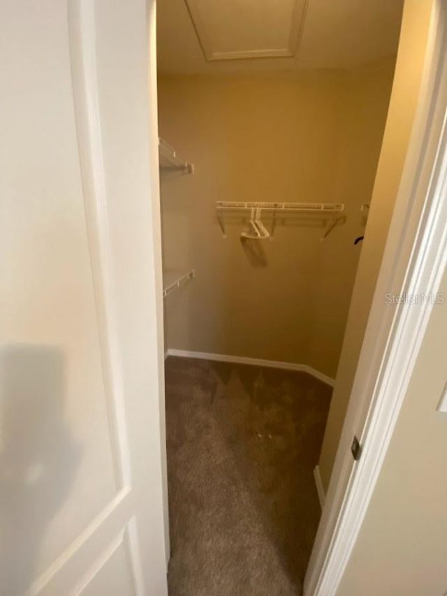12306 Healey Summit Lane , Riverview, FL 33579 Photo