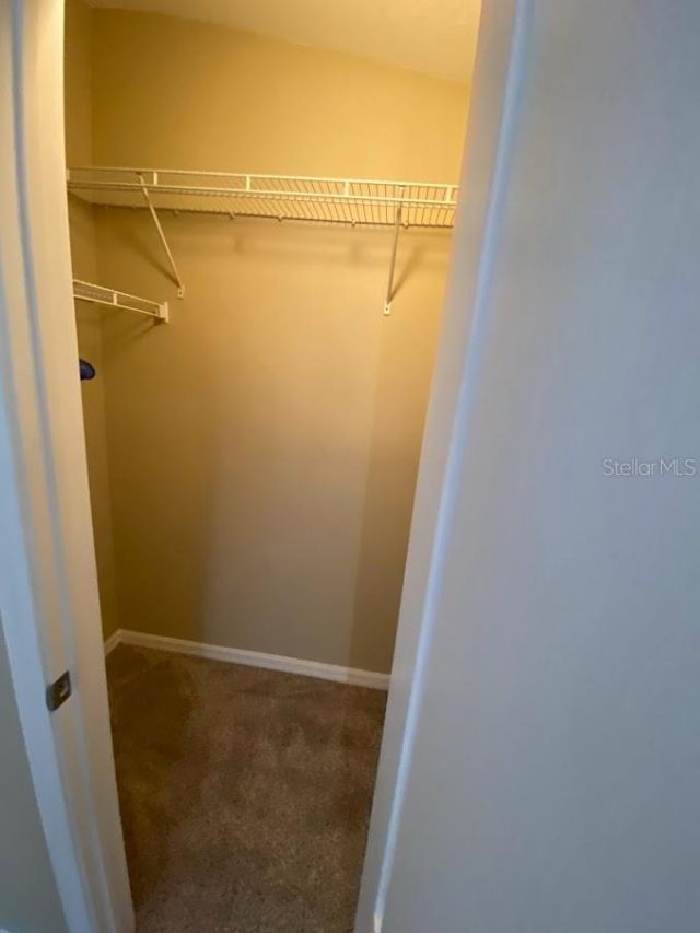 12306 Healey Summit Lane , Riverview, FL 33579 Photo