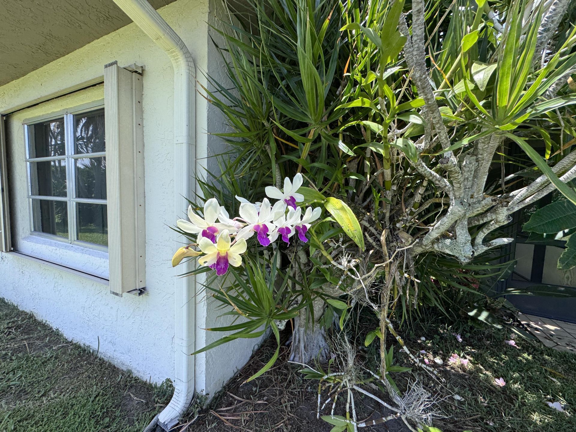 6401 Lasalle Drive, Delray Beach, FL 33484 Photo