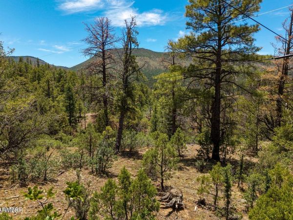 34 County Road 2279, Unit 34, Nutrioso, AZ 85932