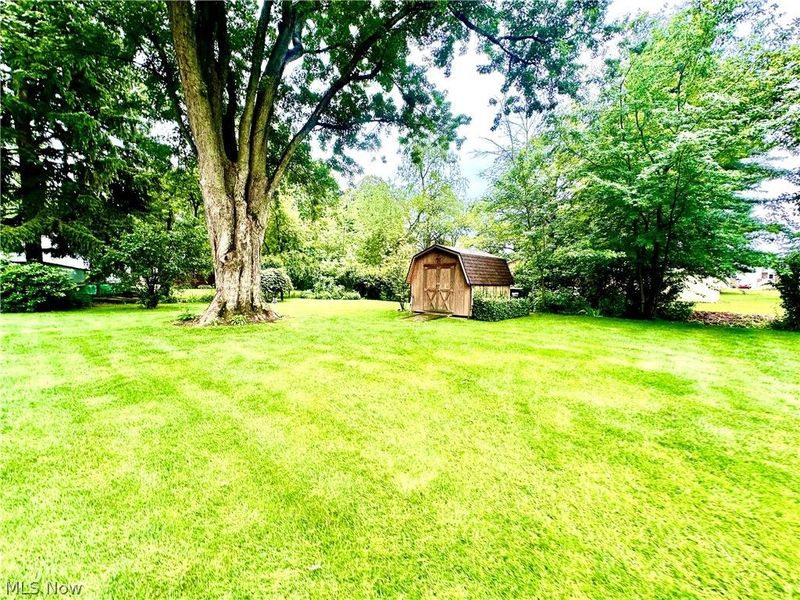 656 Dan Street, Smithville, OH 44677 Photo 28