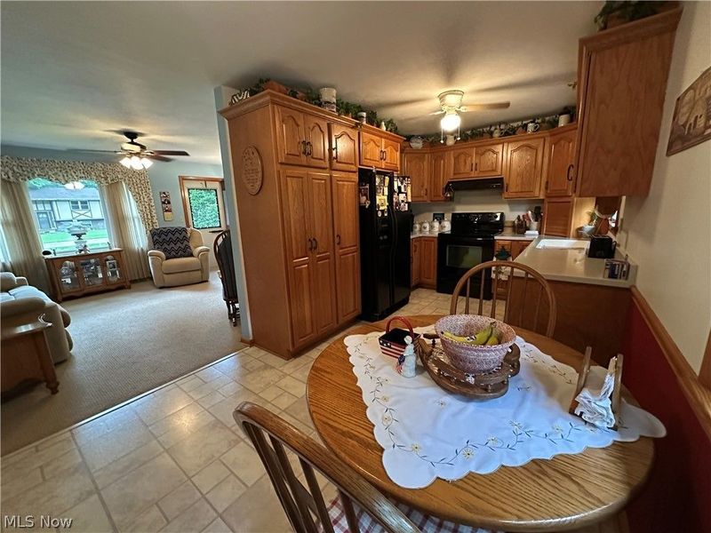 656 Dan Street, Smithville, OH 44677 Photo 3