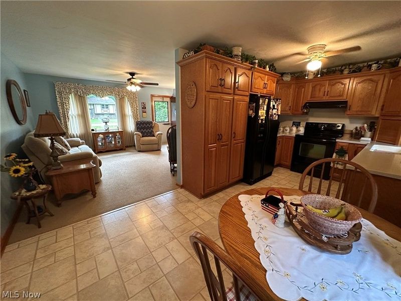 656 Dan Street, Smithville, OH 44677 Photo 6