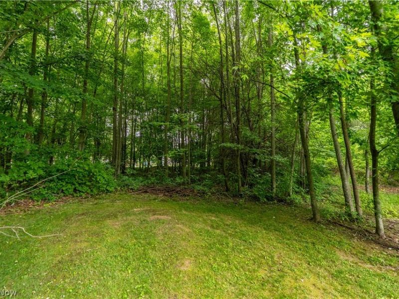 2919 Cliftmont Avenue NE, Canton, OH 44705 Photo 30