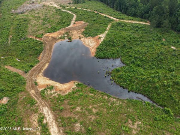 2181 Smith Co Road 559 , Pulaski, MS 39152