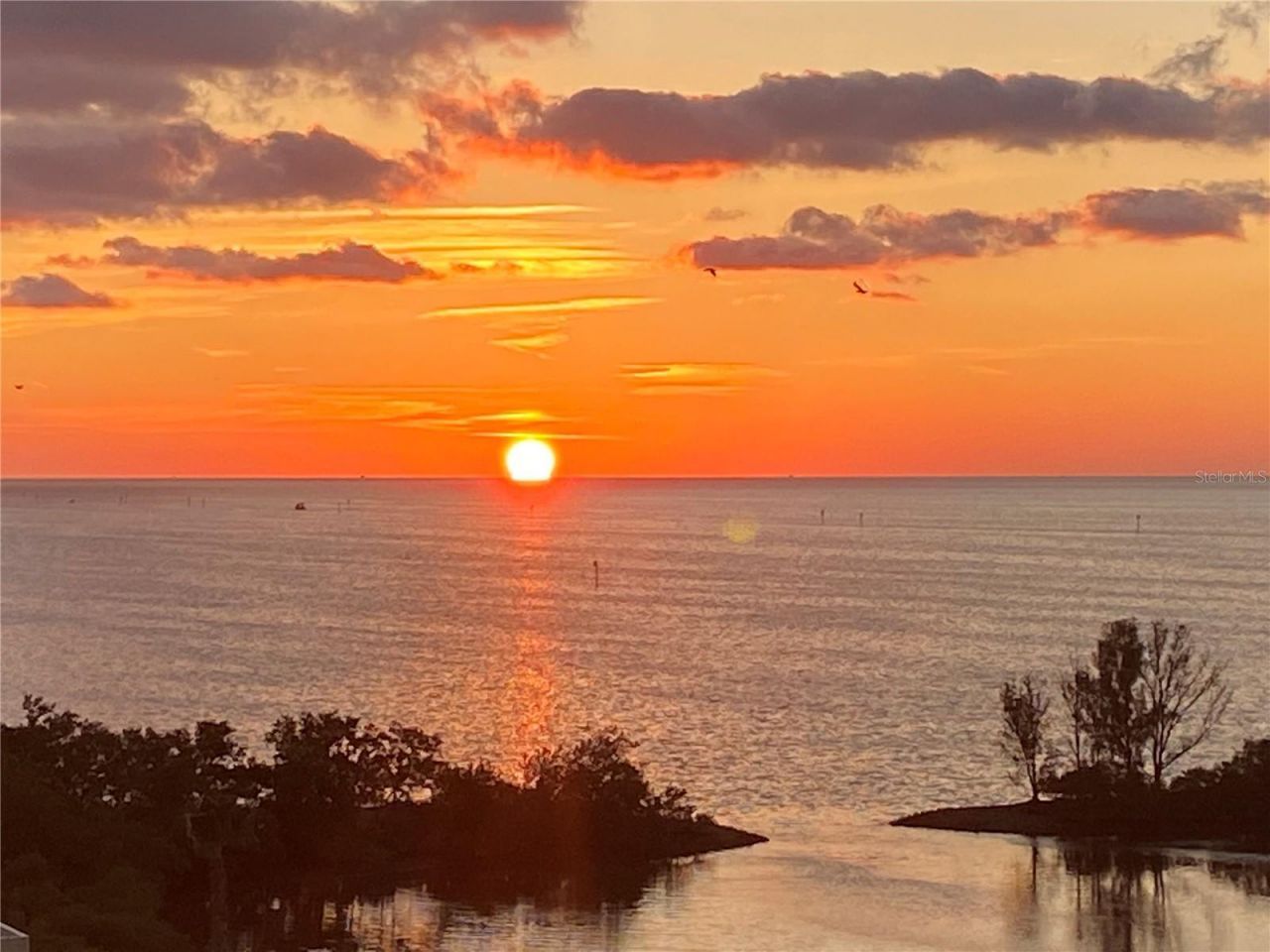 6009 Sea Ranch Drive , Unit 707, Hudson, FL 34667 Photo