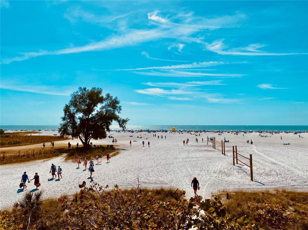 810 Plymouth Street, Sarasota, FL 34242 Photo