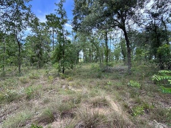 SE 16 LANE , MORRISTON, FL 32668