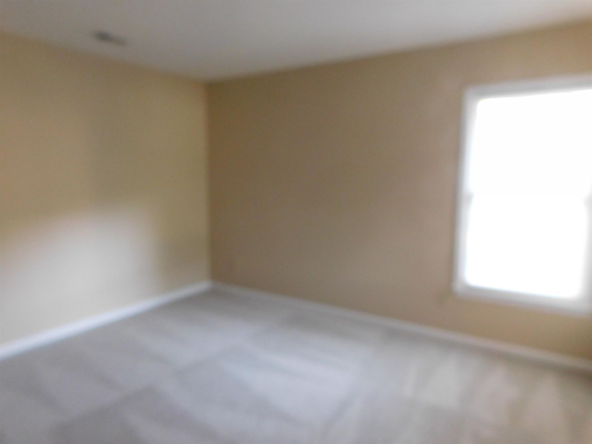 120 Juneberry Ln. Photo 27