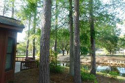 120 Juneberry Ln. photo 4