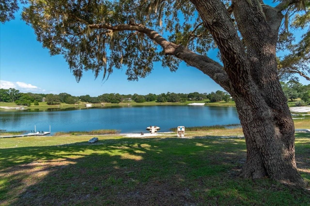 10522 SE 146th Terrace Road, Ocklawaha, FL 32179 Photo
