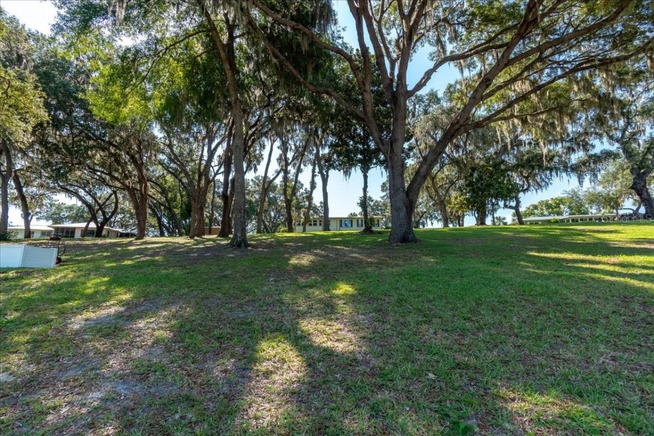 10522 SE 146th Terrace Road, Ocklawaha, FL 32179 Photo