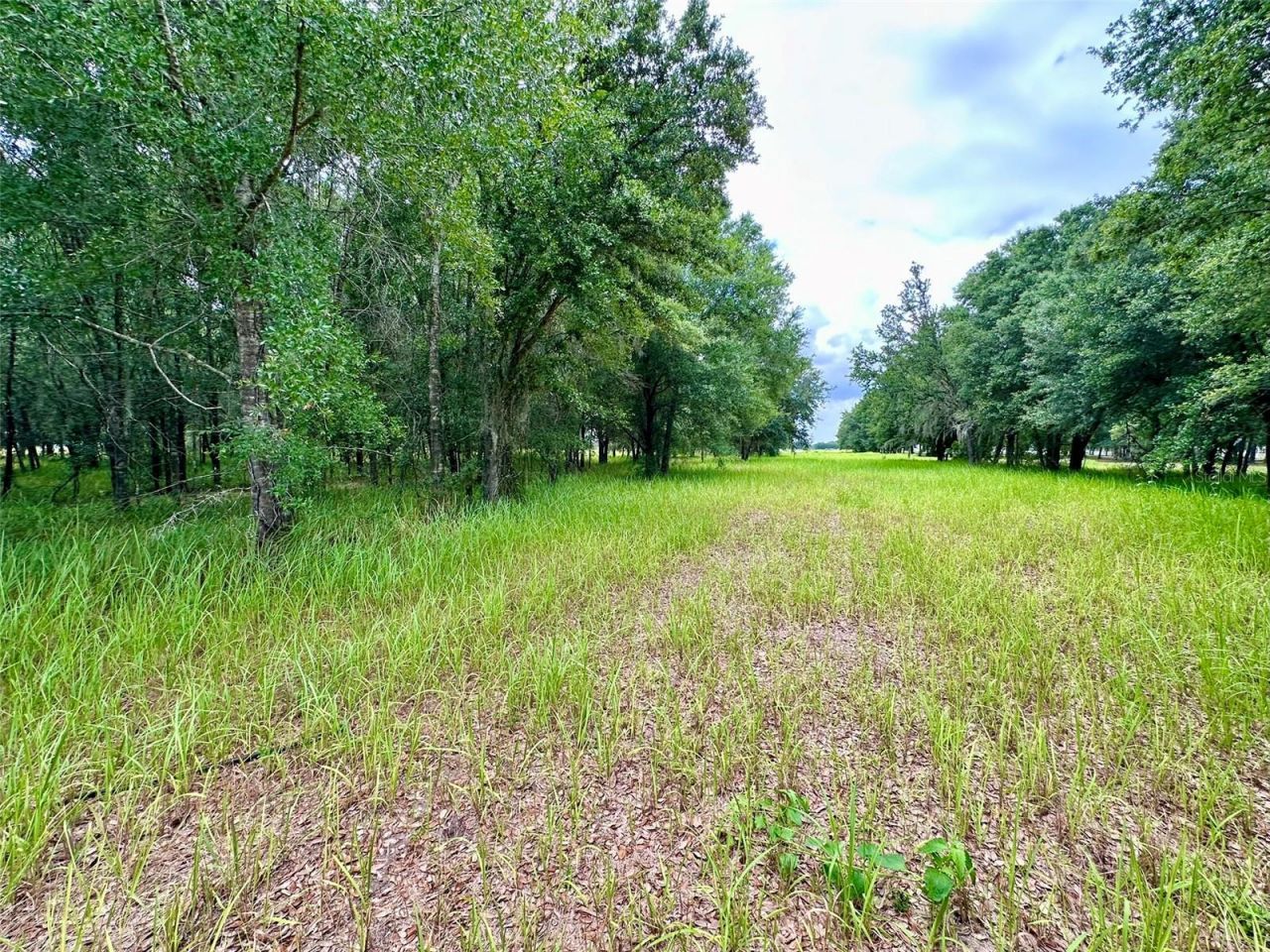 4946 Wauchula Rd , Wauchula, FL 33873 Photo