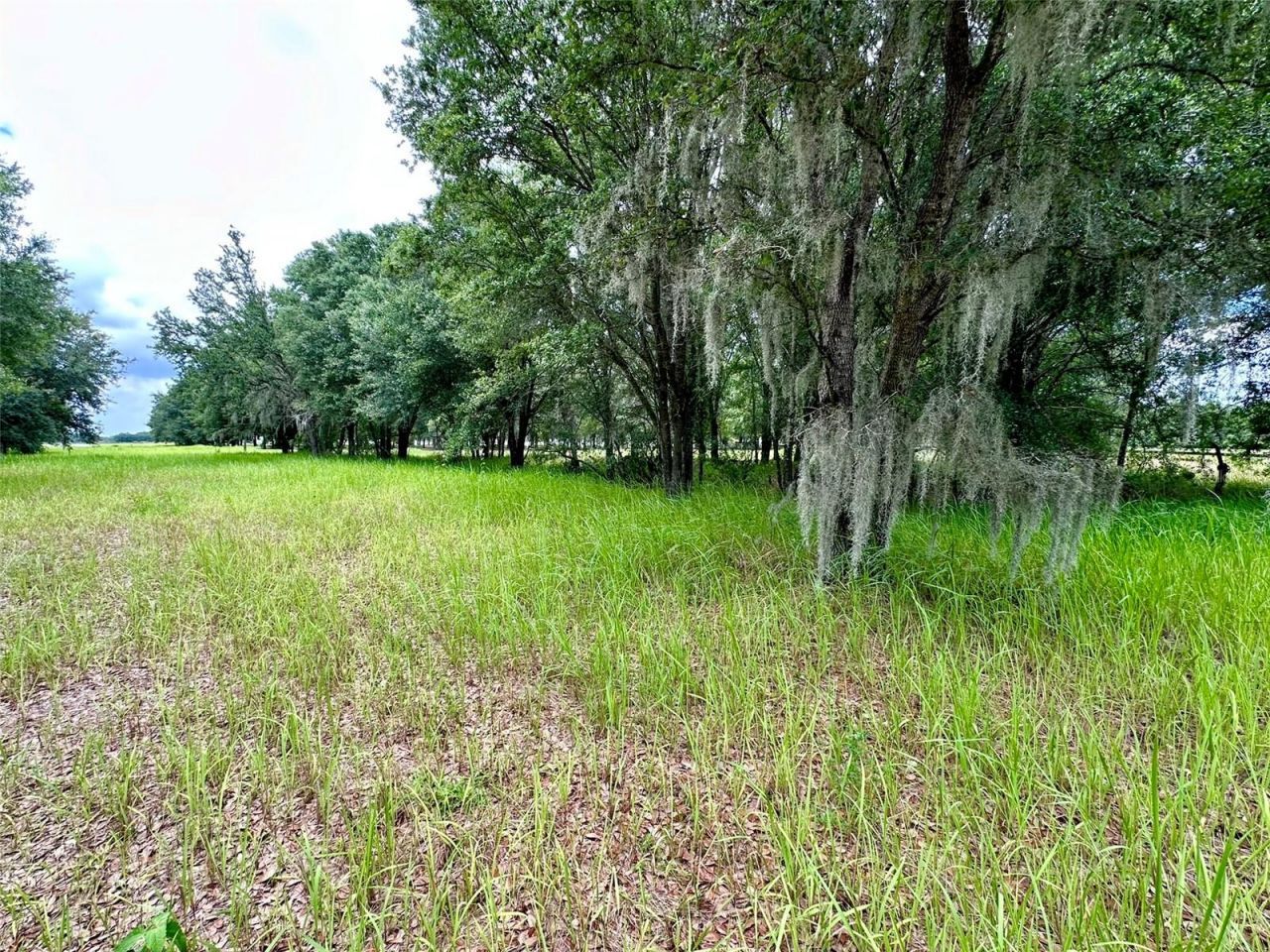 4946 Wauchula Rd , Wauchula, FL 33873 Photo