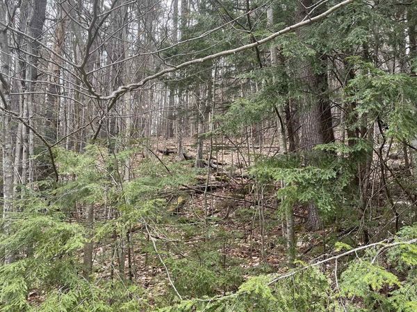 10-4-2 David Thompson Drive, Campton, NH 03223