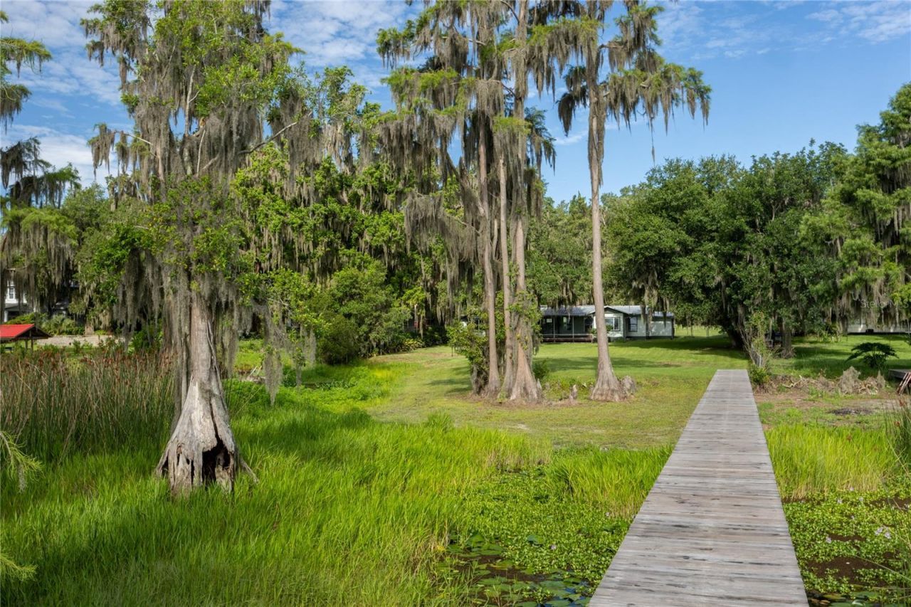 7521 NE 222nd Street , Melrose, FL 32666 Photo