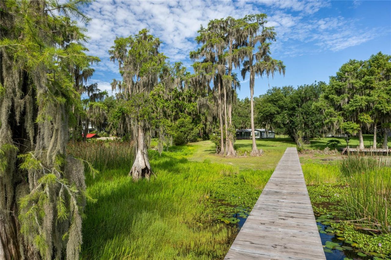 7521 NE 222nd Street , Melrose, FL 32666 Photo