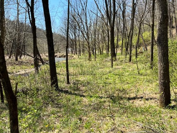 000 Indian Creek Road, Jacksonburg, WV 26377