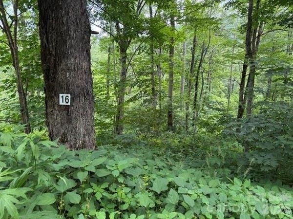 Lot 16 Iga Trail , Maggie Valley, NC 28751