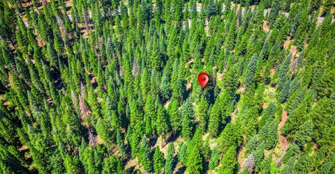 10680 Highway 36, Lake Almanor, CA 96137 Photo