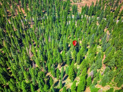 10680 Highway 36, Lake Almanor, CA 96137 Photo