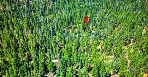 10680 Highway 36, Lake Almanor, CA 96137 Photo