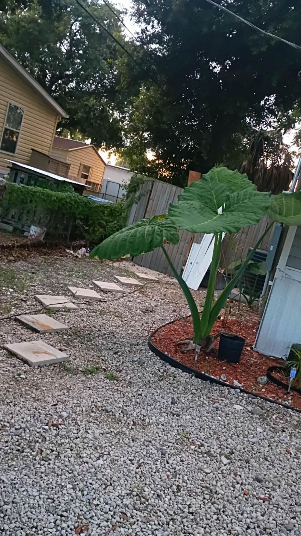 4911 Deanna Lane, Fort Pierce, FL 34946 Photo
