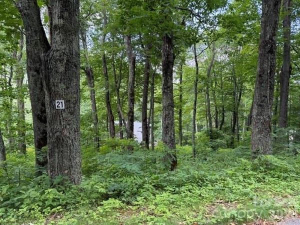 Lot 21 Odalu Trail , Maggie Valley, NC 28751