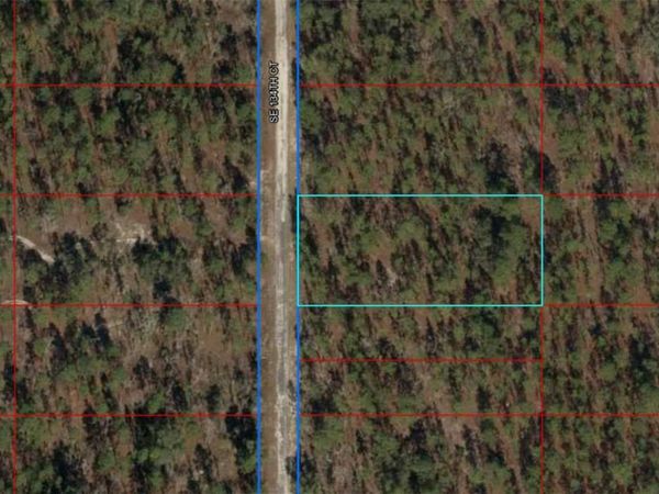 00 SW 134TH COURT , DUNNELLON, FL 34431