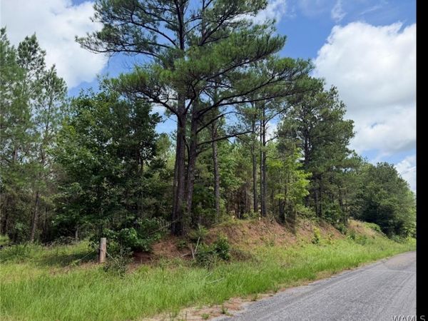 0 County Road 100 , Fayette, AL 35555