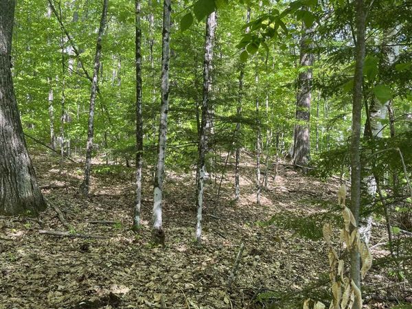 11-6-4 Reservoir Road, Campton, NH 03223