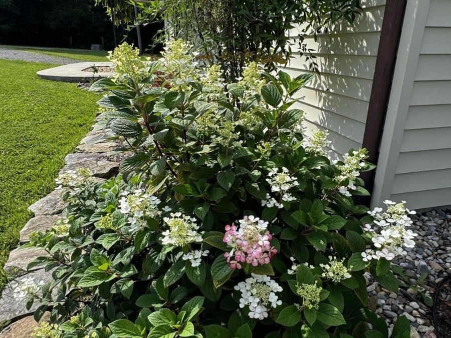 Property Image 60
