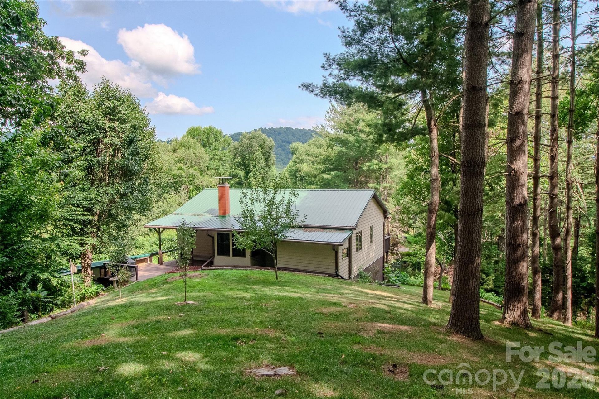 49 Jake Drive, Canton, NC 28716 Main Photo