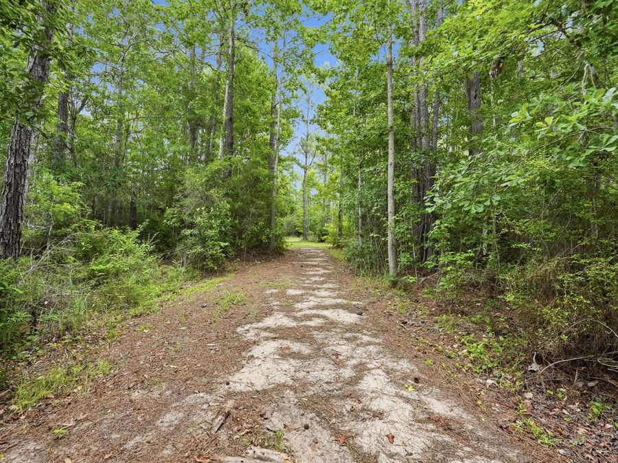 Property Image 64