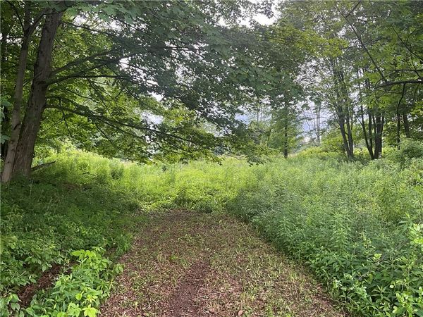 0 Stauber Rd , Groton, NY 13073