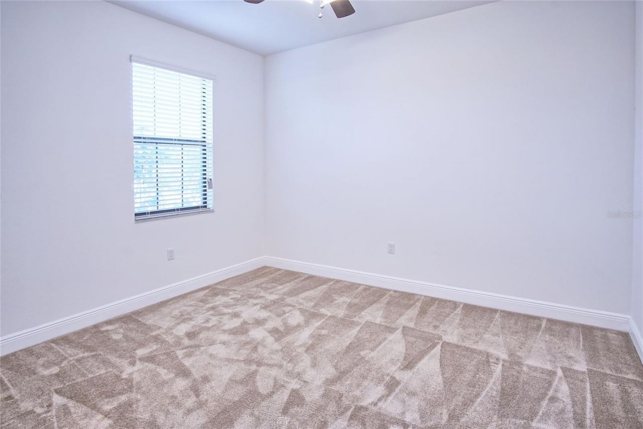 11619 Iris Spring Court, Riverview, FL 33579 Photo