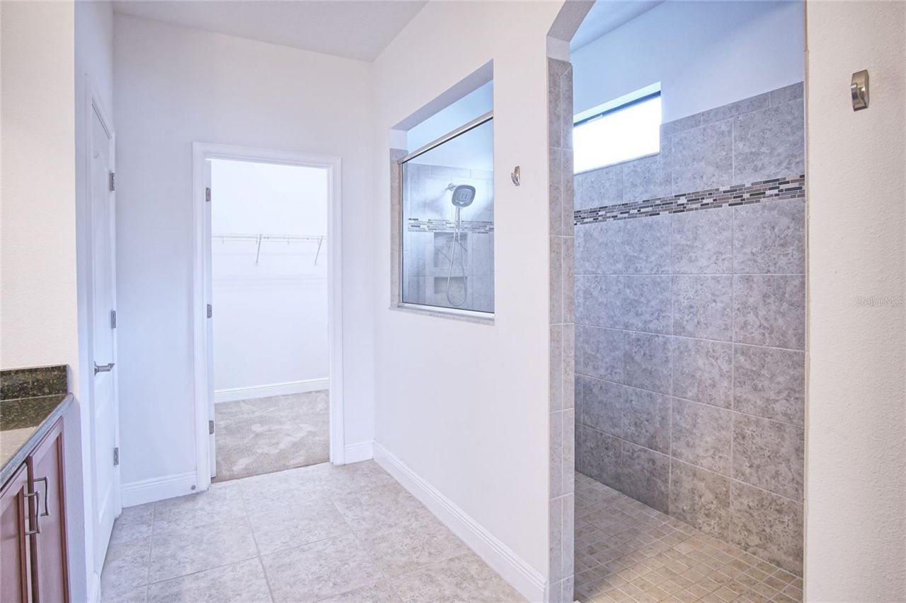 11619 Iris Spring Court, Riverview, FL 33579 Photo