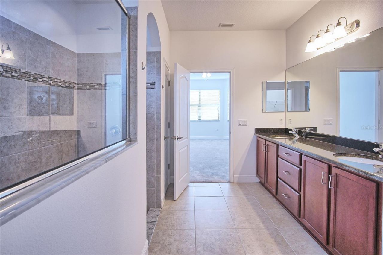 11619 Iris Spring Court, Riverview, FL 33579 Photo