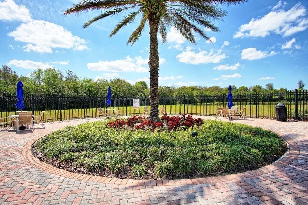 11619 Iris Spring Court, Riverview, FL 33579 Photo