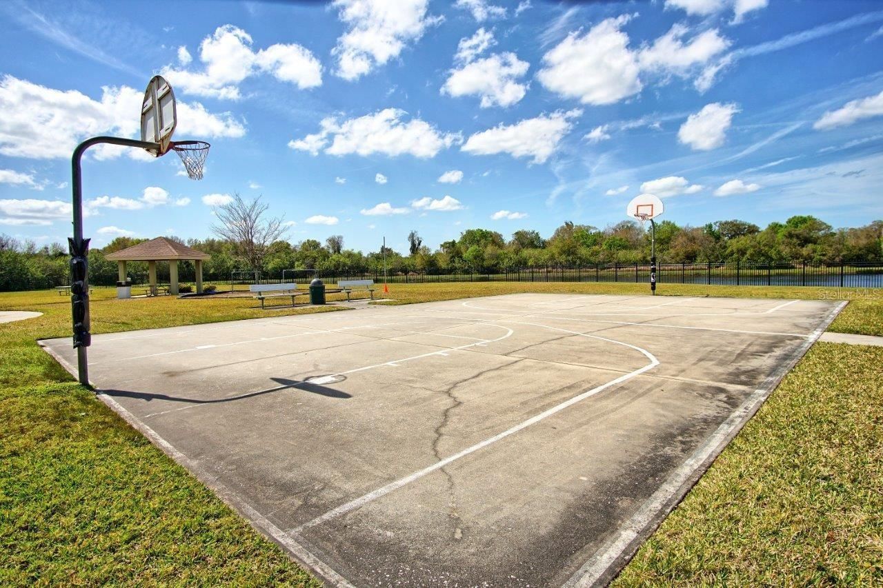 11619 Iris Spring Court, Riverview, FL 33579 Photo
