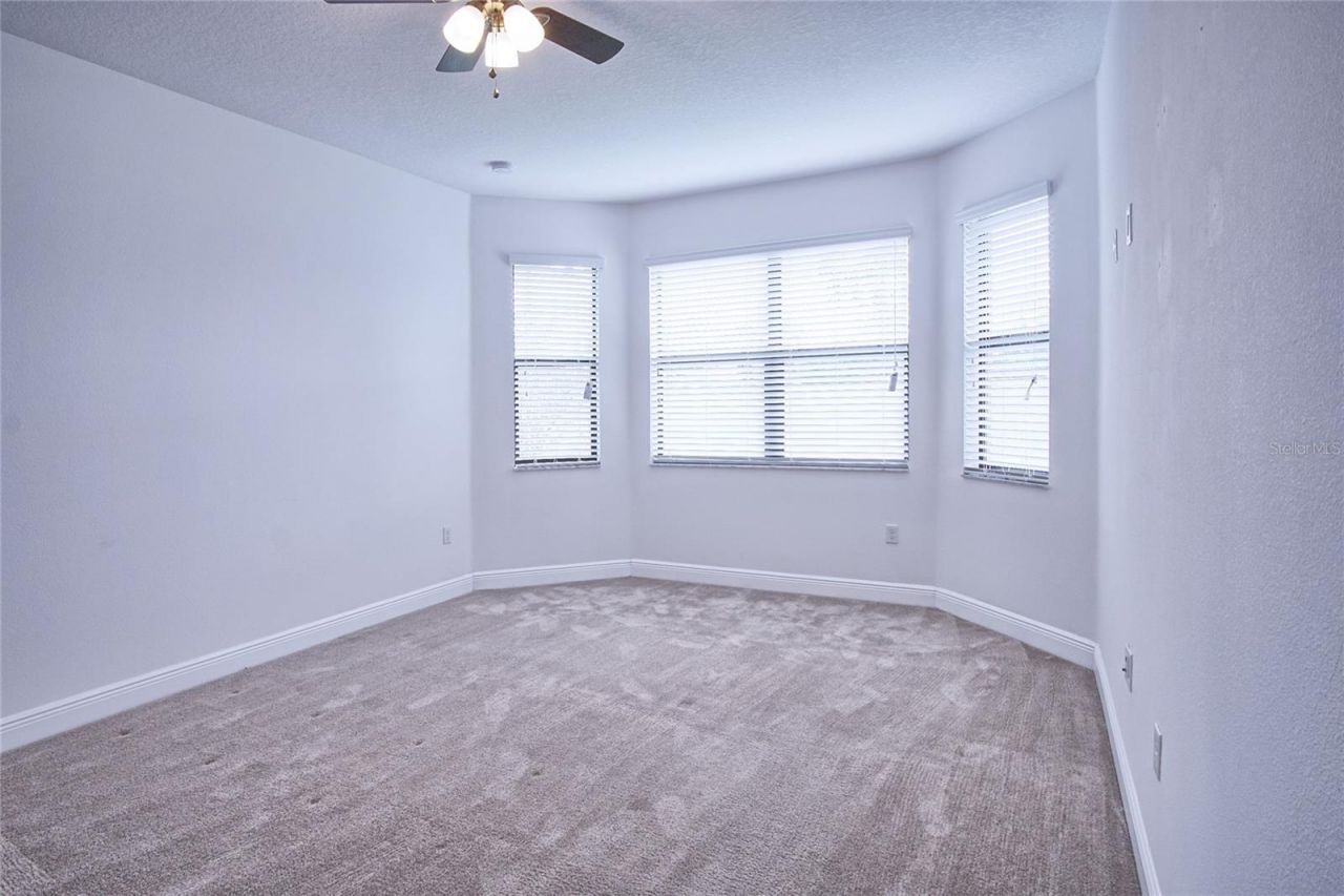 11619 Iris Spring Court, Riverview, FL 33579 Photo
