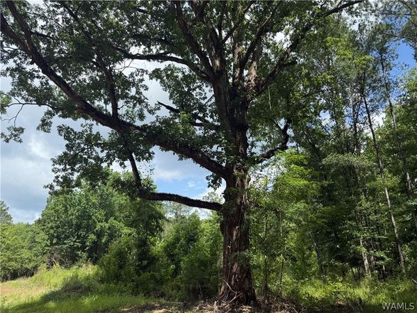 2 Samson Clements Loop Road , Berry, AL 35546